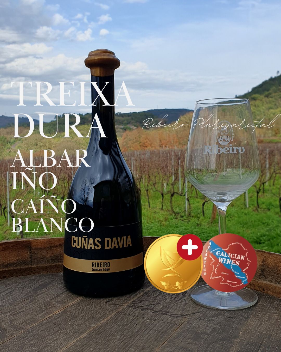 oro plus cuñas davia barrica